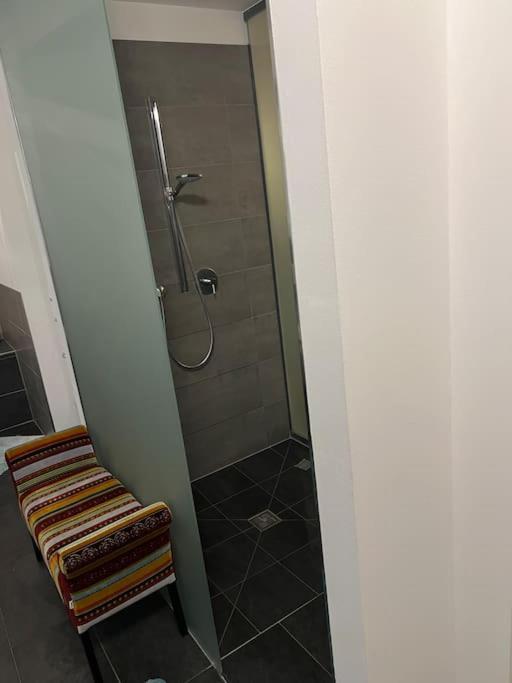 Apartment Luxurioese Mit Sauna Und Whirlpool